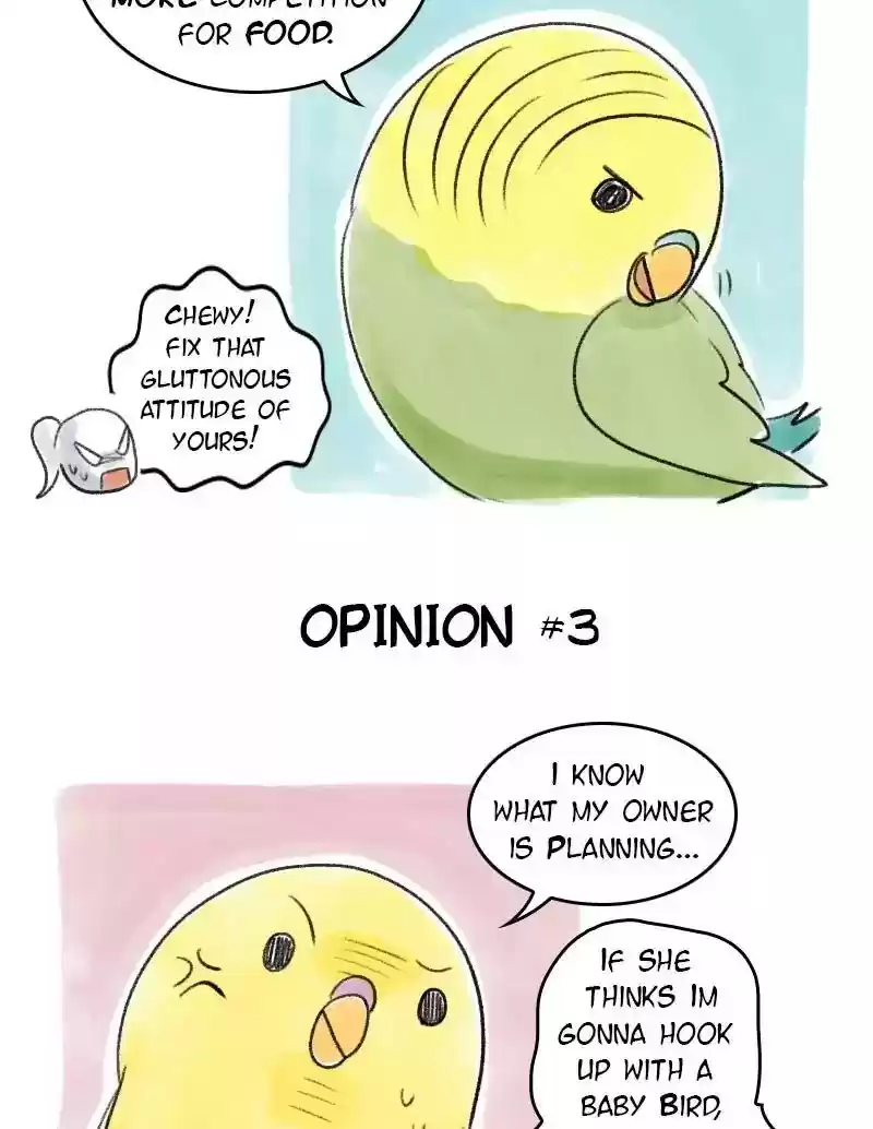 A Budgie's Life Chapter 50: Ep.50: