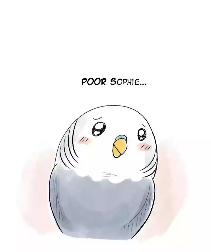 A Budgie's Life Chapter 50: Ep.50: