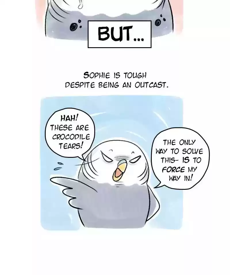 A Budgie's Life Chapter 50: Ep.50: