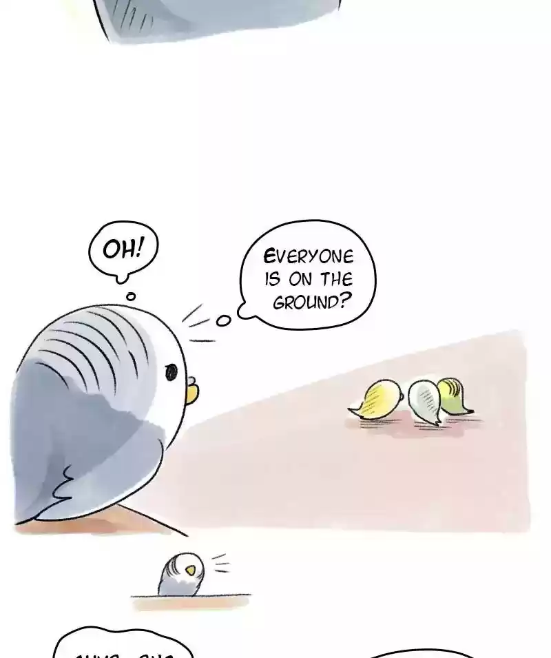 A Budgie's Life Chapter 50: Ep.50: