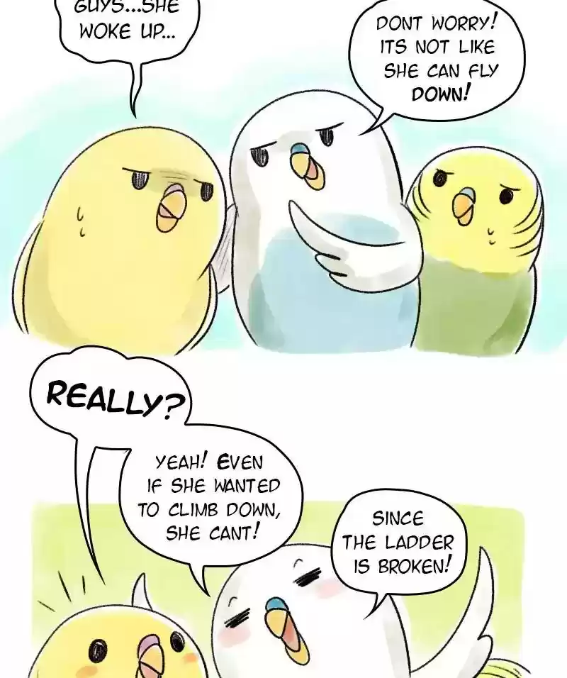 A Budgie's Life Chapter 50: Ep.50: