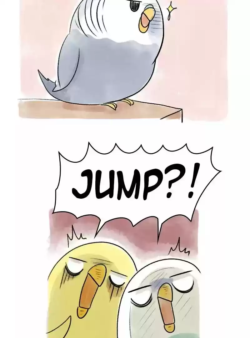 A Budgie's Life Chapter 50: Ep.50: