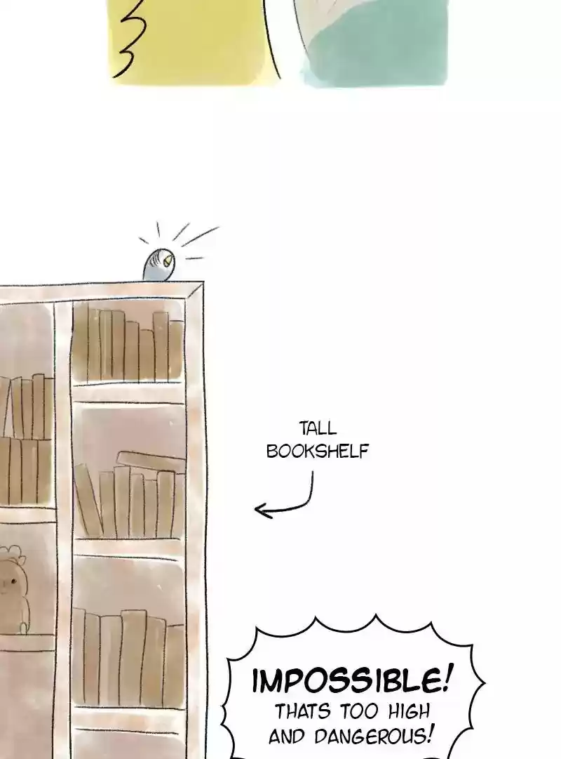 A Budgie's Life Chapter 50: Ep.50: