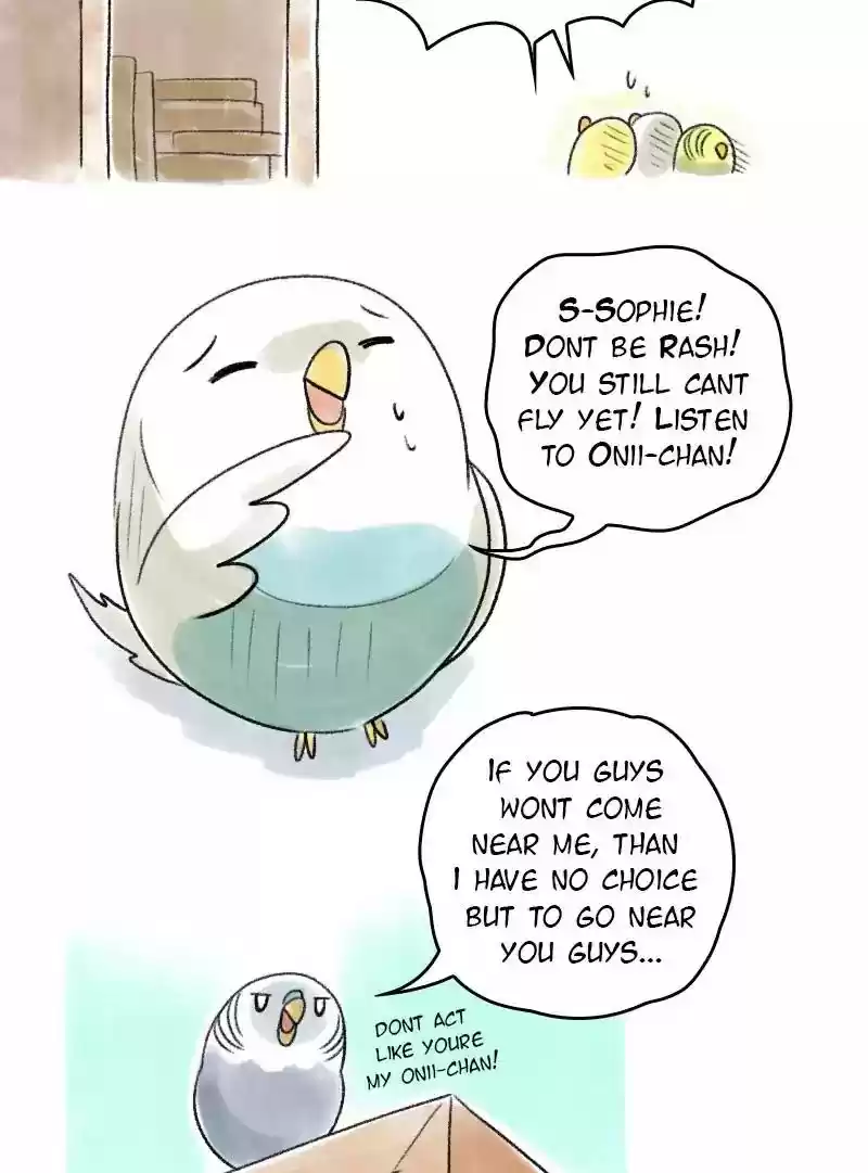 A Budgie's Life Chapter 50: Ep.50: