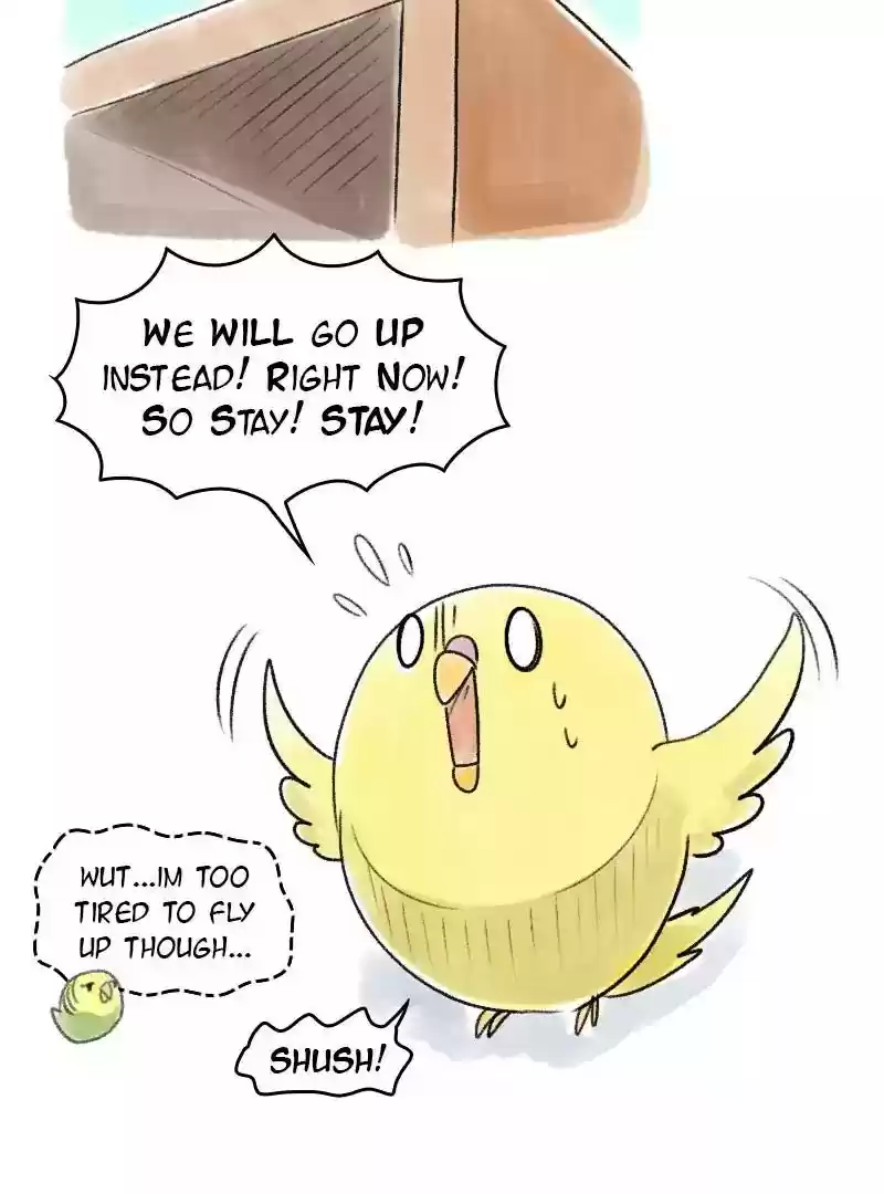 A Budgie's Life Chapter 50: Ep.50: