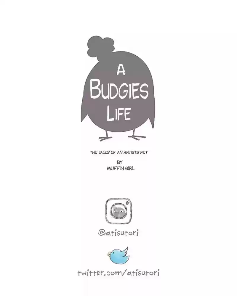 A Budgie's Life Chapter 50: Ep.50: