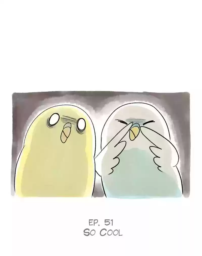 A Budgie's Life Chapter 51: Ep.51: