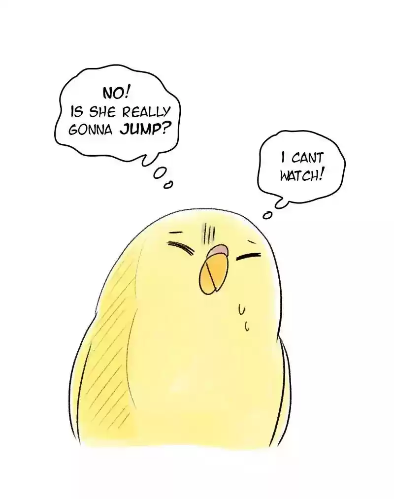 A Budgie's Life Chapter 51: Ep.51: