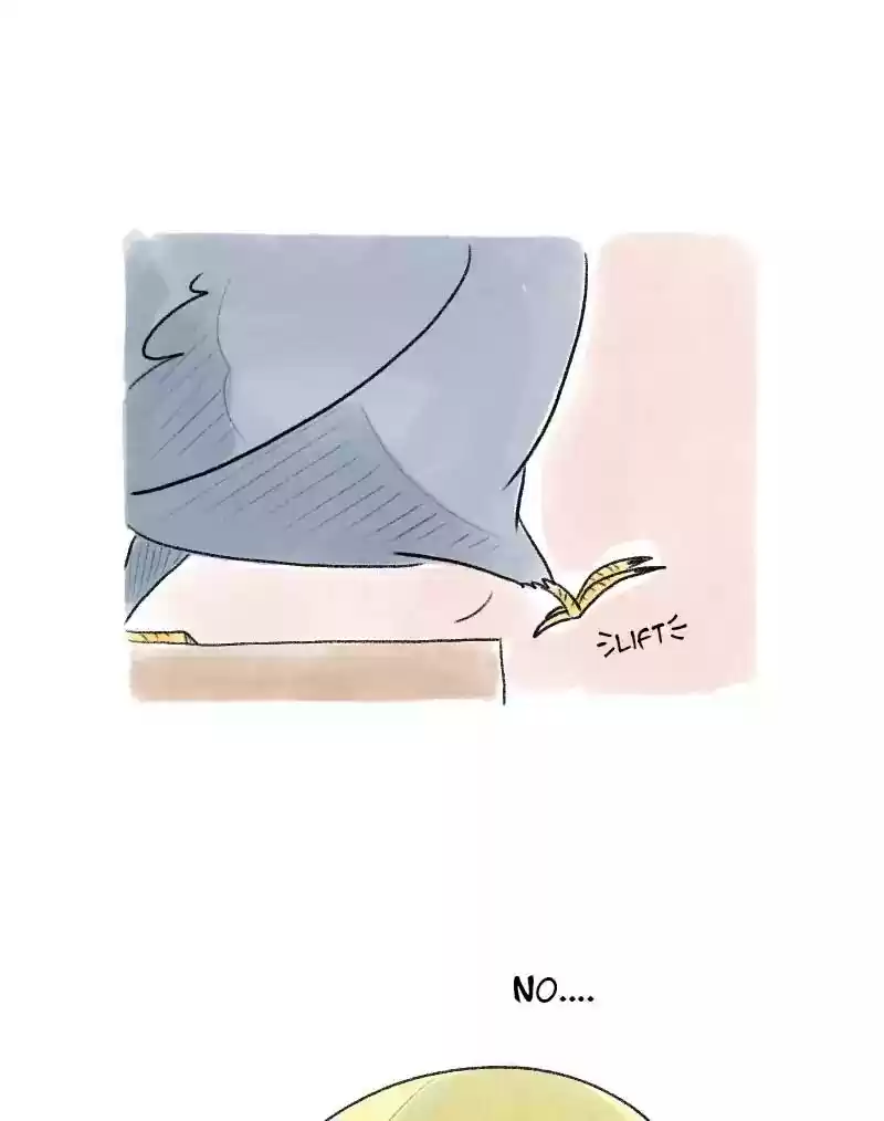 A Budgie's Life Chapter 51: Ep.51: