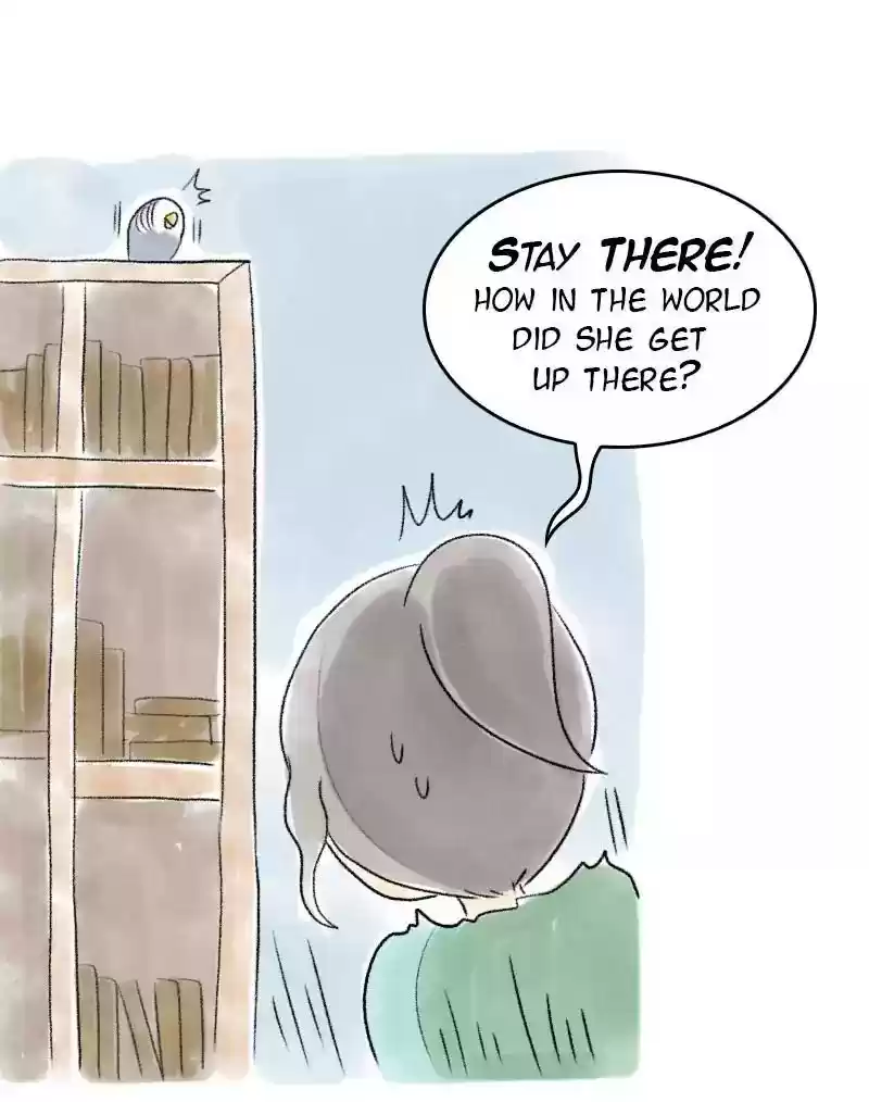 A Budgie's Life Chapter 51: Ep.51: