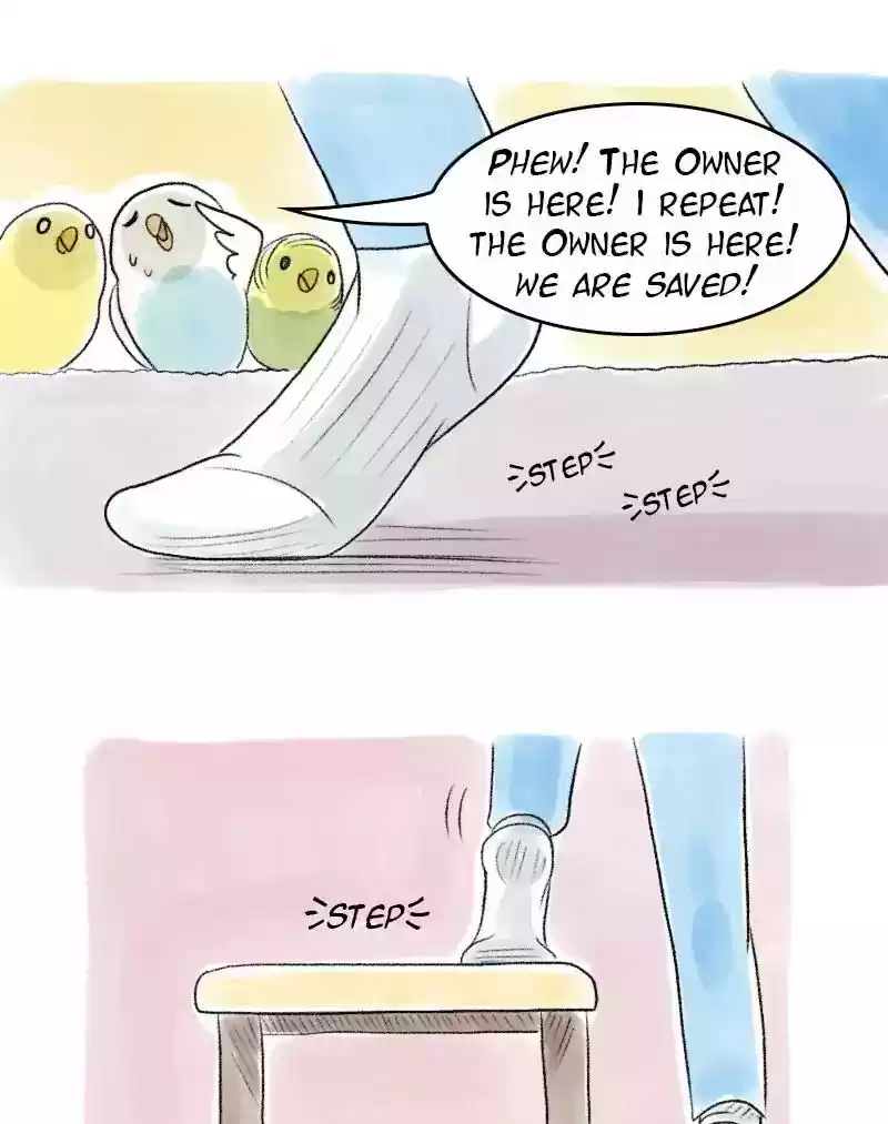A Budgie's Life Chapter 51: Ep.51:
