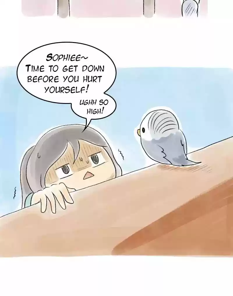 A Budgie's Life Chapter 51: Ep.51: