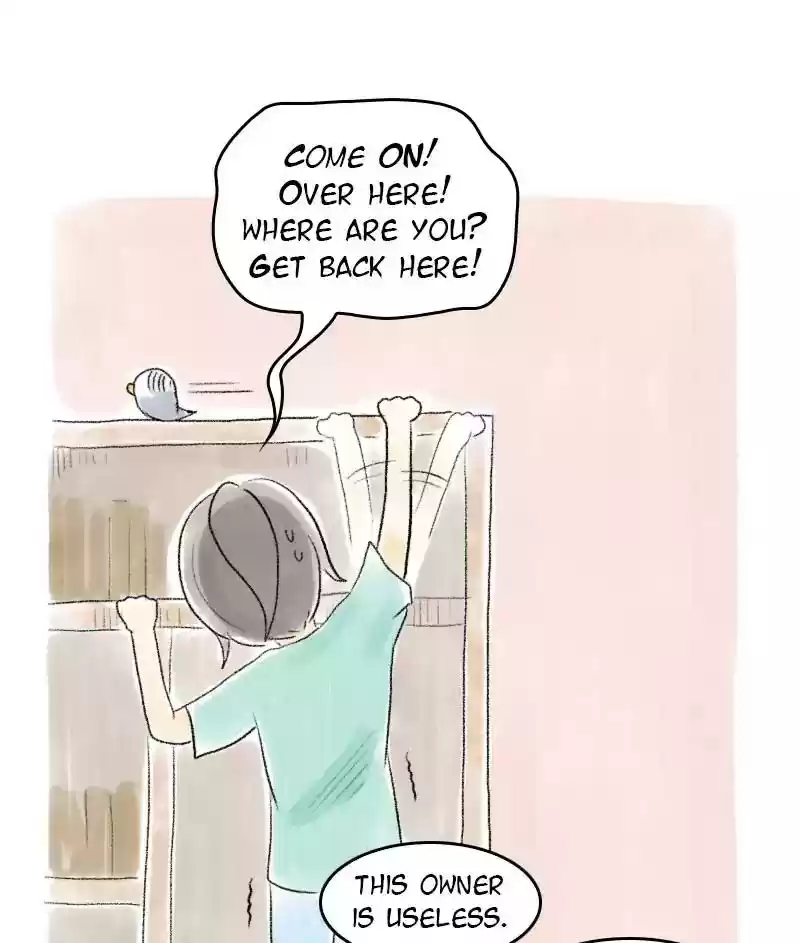 A Budgie's Life Chapter 51: Ep.51: