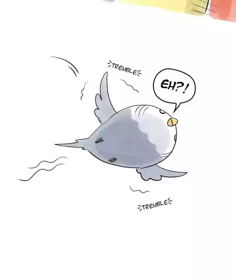 A Budgie's Life Chapter 51: Ep.51: