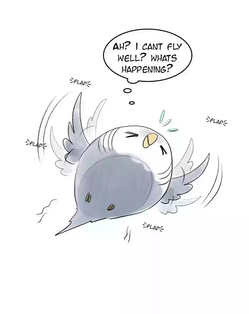 A Budgie's Life Chapter 51: Ep.51: