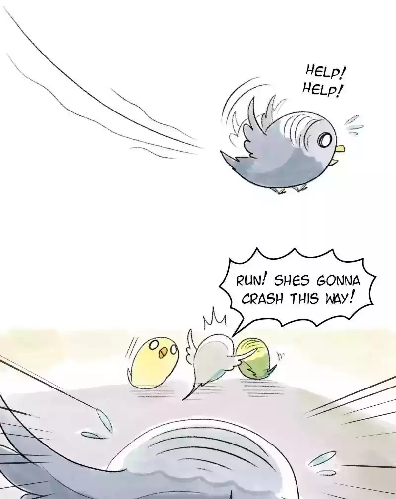 A Budgie's Life Chapter 51: Ep.51: