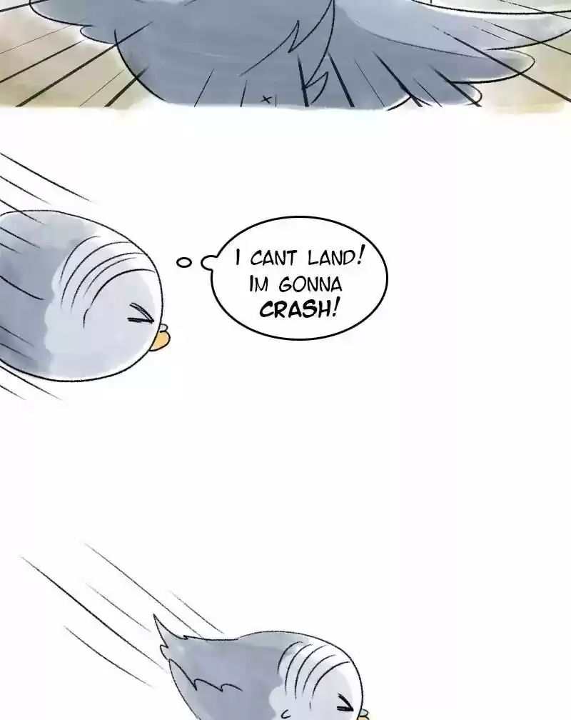 A Budgie's Life Chapter 51: Ep.51: