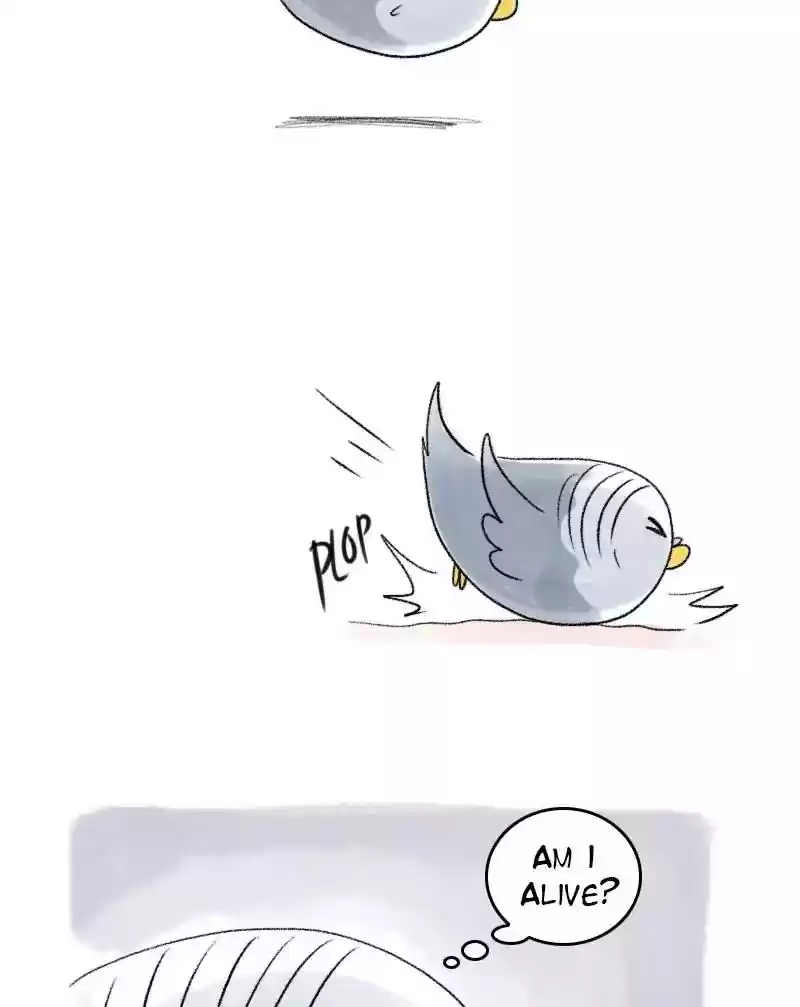 A Budgie's Life Chapter 51: Ep.51: