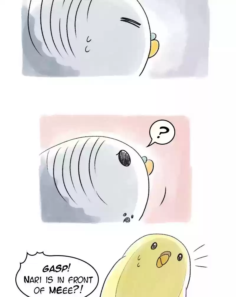 A Budgie's Life Chapter 51: Ep.51: