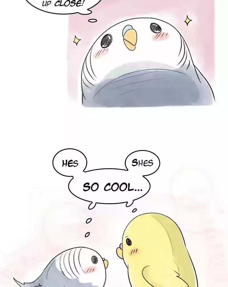 A Budgie's Life Chapter 51: Ep.51: