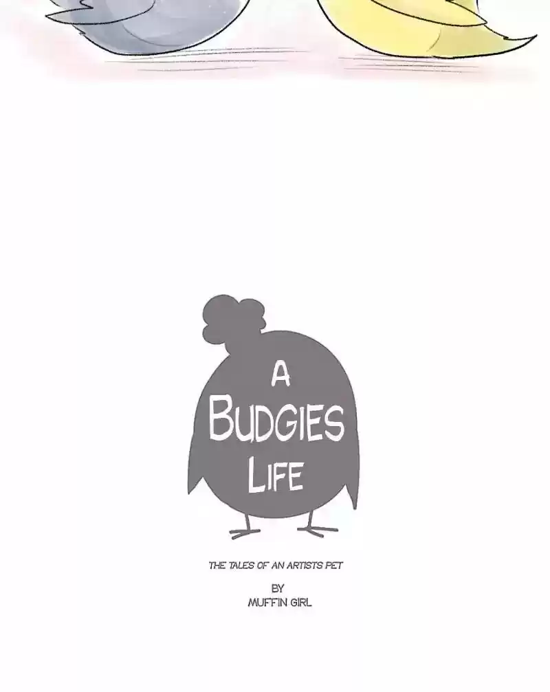 A Budgie's Life Chapter 51: Ep.51: