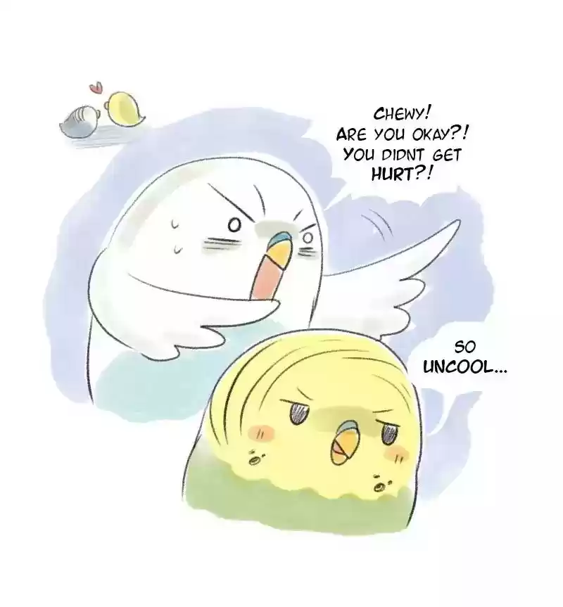 A Budgie's Life Chapter 51: Ep.51: