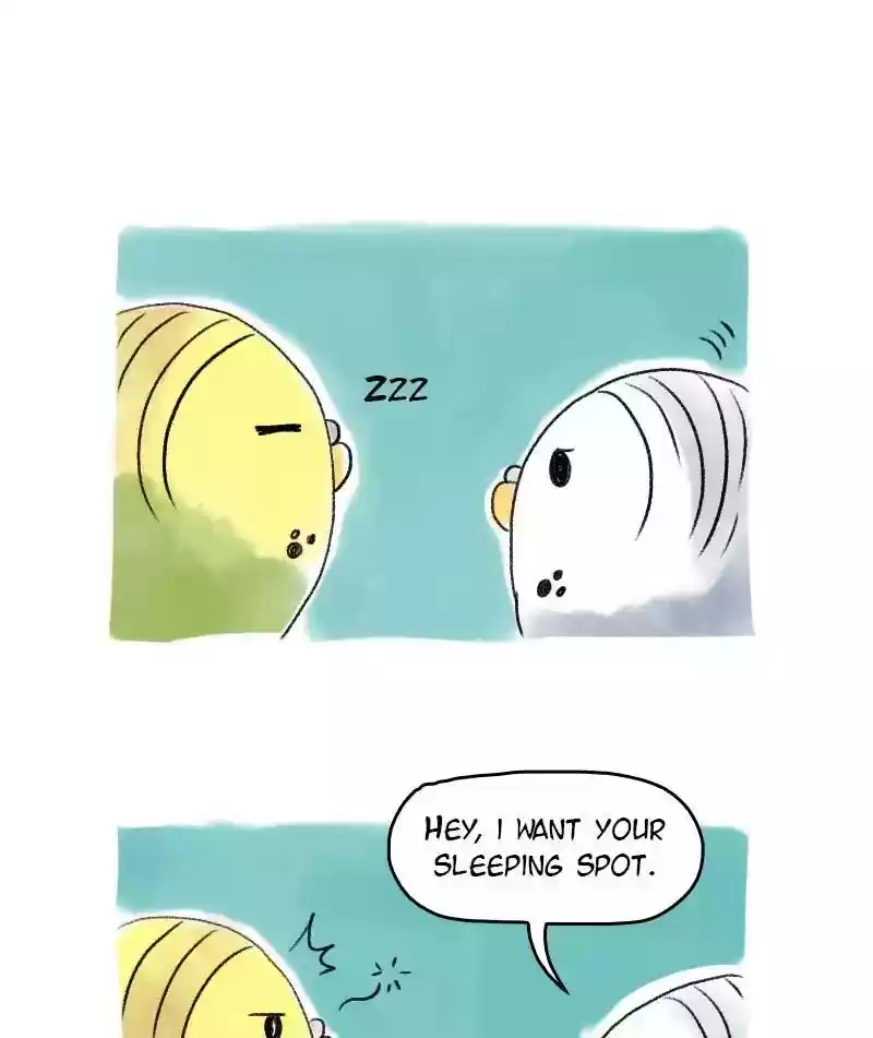 A Budgie's Life Chapter 52: Ep.52: