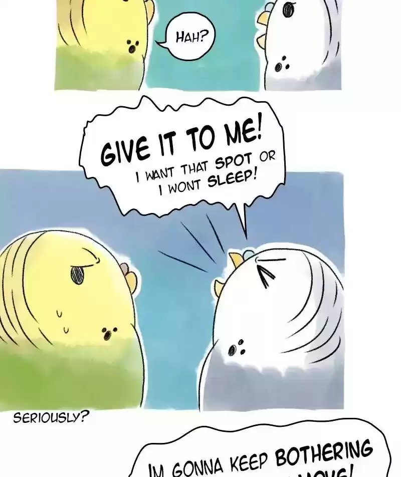 A Budgie's Life Chapter 52: Ep.52: