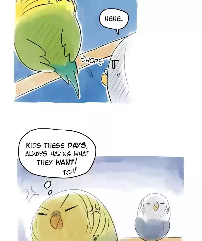 A Budgie's Life Chapter 52: Ep.52: