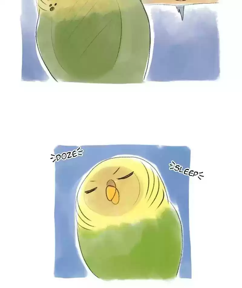 A Budgie's Life Chapter 52: Ep.52: