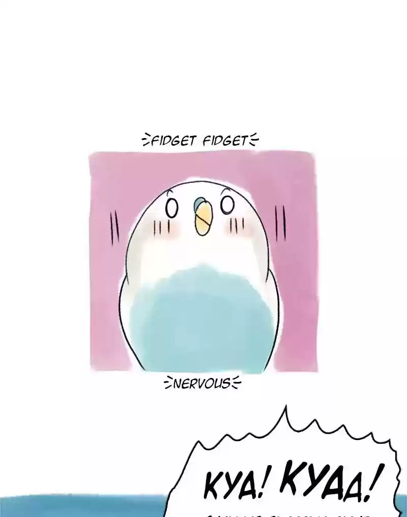 A Budgie's Life Chapter 52: Ep.52: