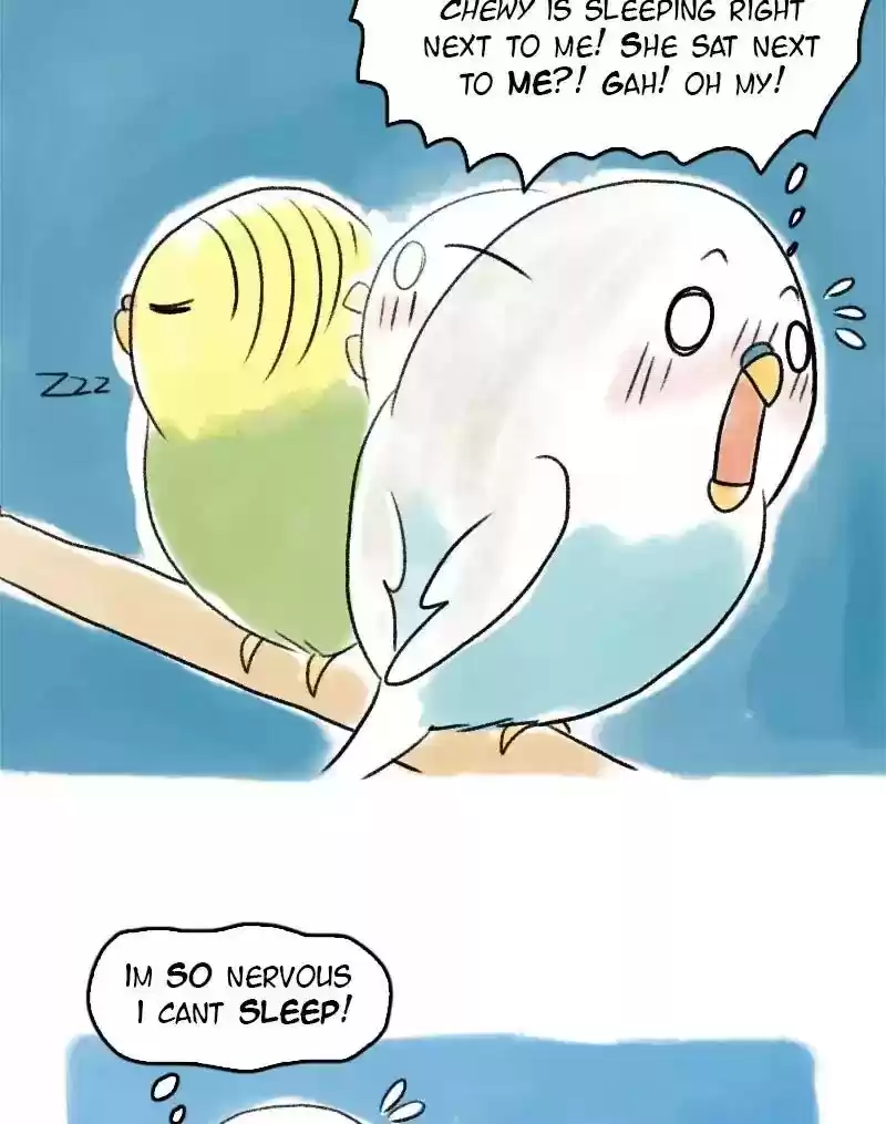 A Budgie's Life Chapter 52: Ep.52: