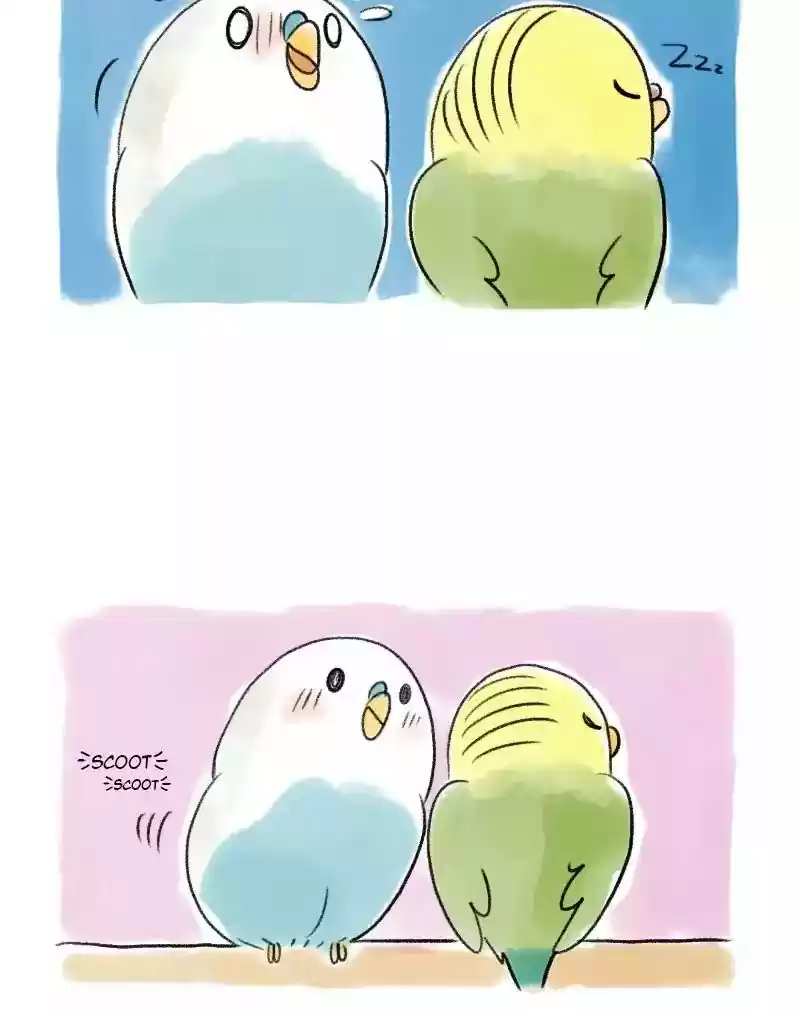 A Budgie's Life Chapter 52: Ep.52: