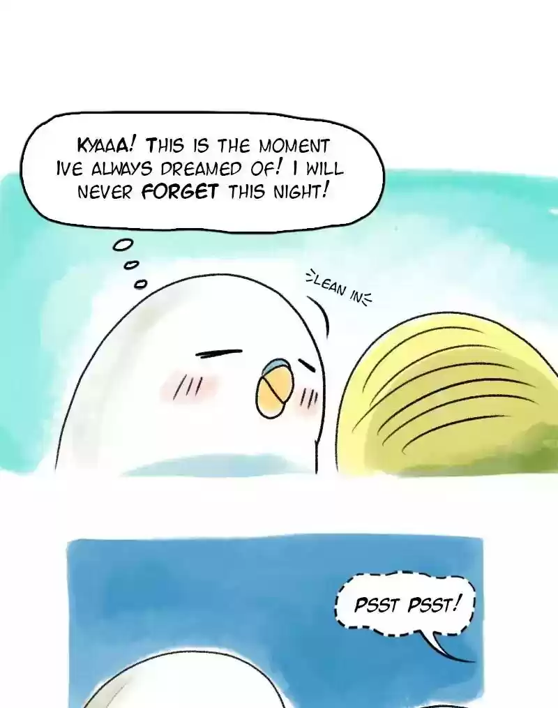 A Budgie's Life Chapter 52: Ep.52: