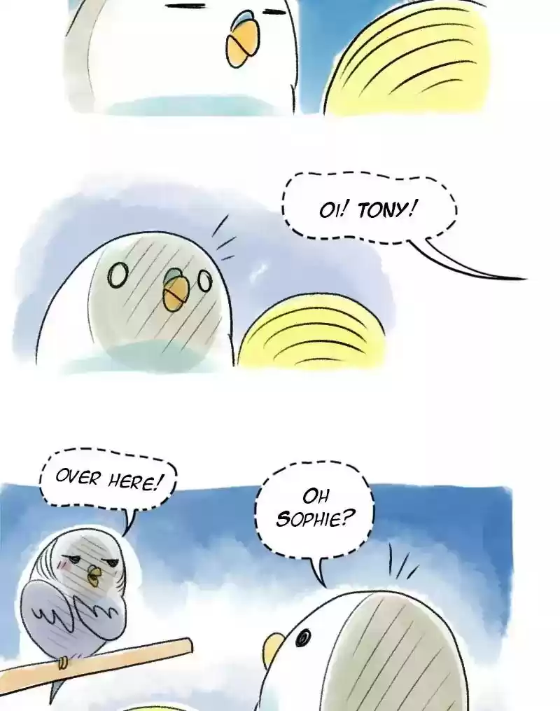A Budgie's Life Chapter 52: Ep.52: