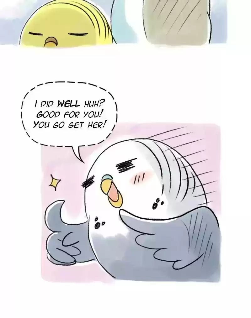 A Budgie's Life Chapter 52: Ep.52: