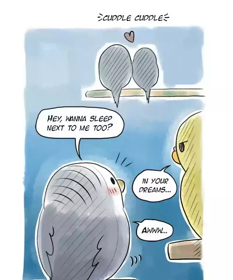 A Budgie's Life Chapter 52: Ep.52: