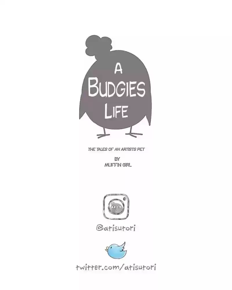 A Budgie's Life Chapter 52: Ep.52:
