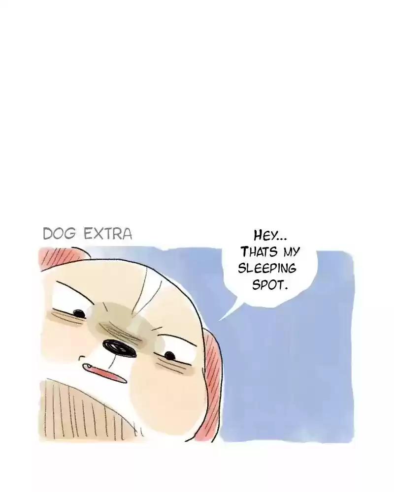 A Budgie's Life Chapter 52: Ep.52: