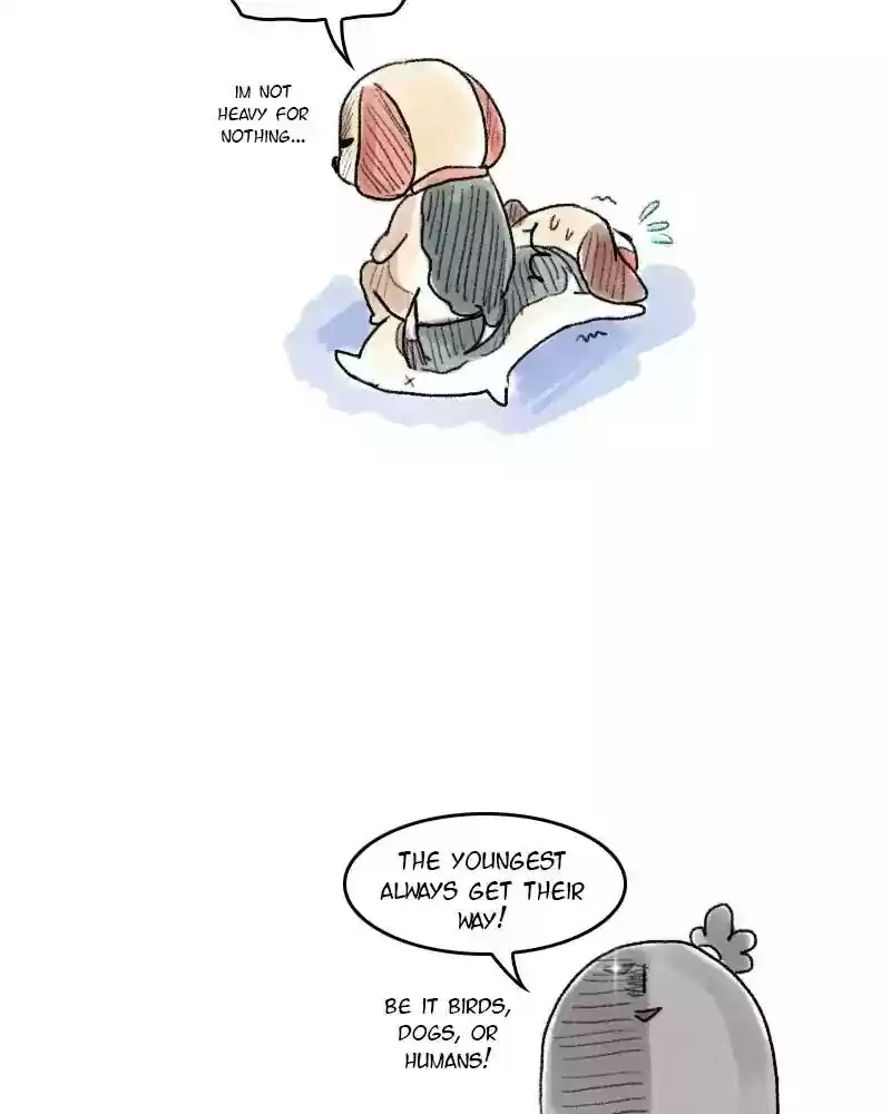 A Budgie's Life Chapter 52: Ep.52: