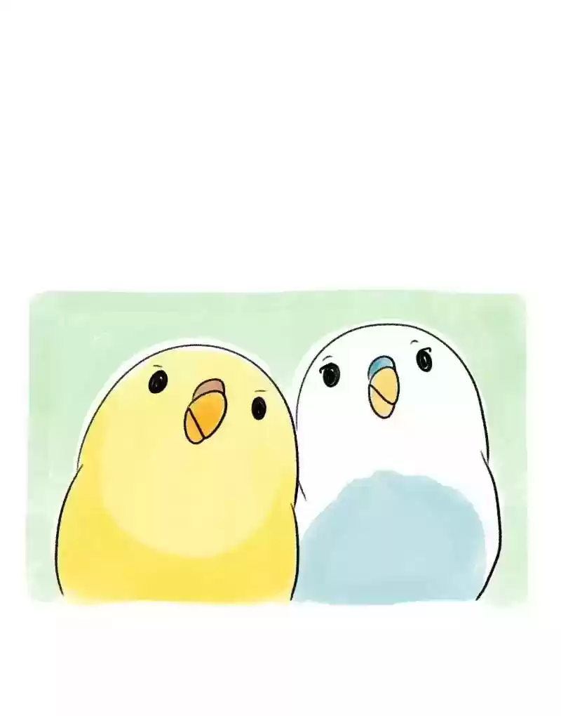 A Budgie's Life Chapter 53: Ep.53: