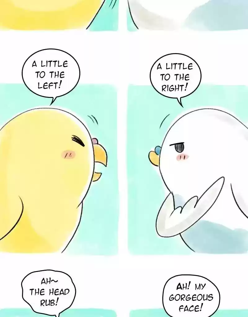 A Budgie's Life Chapter 53: Ep.53: