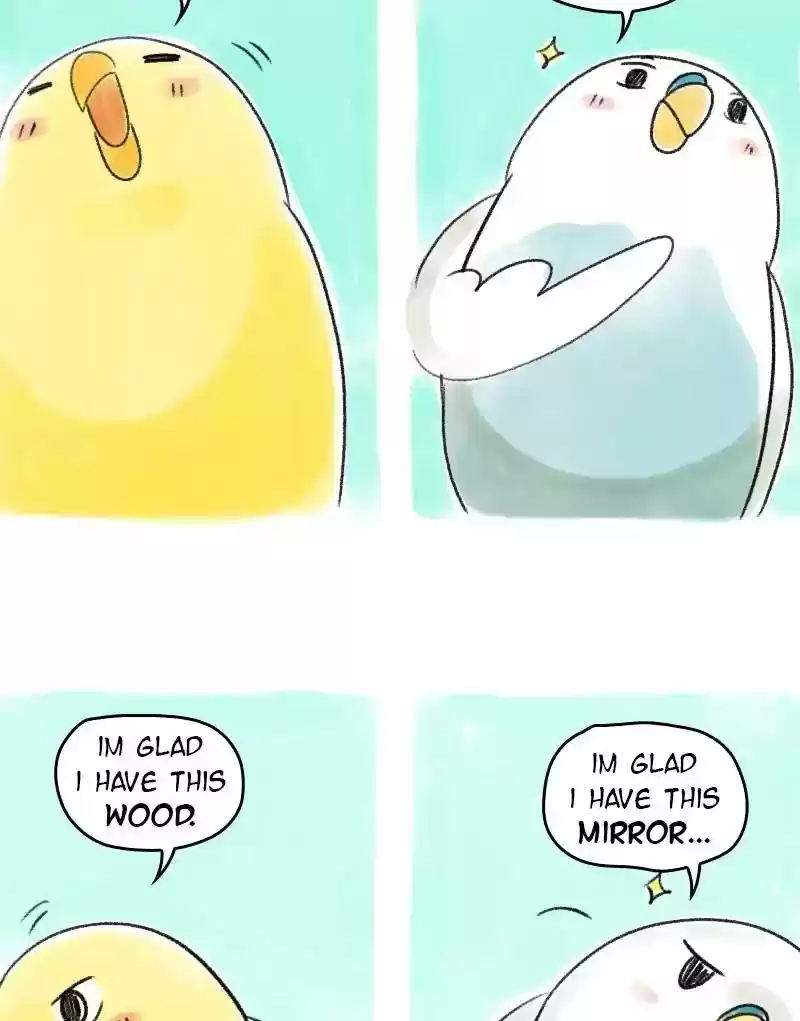 A Budgie's Life Chapter 53: Ep.53: