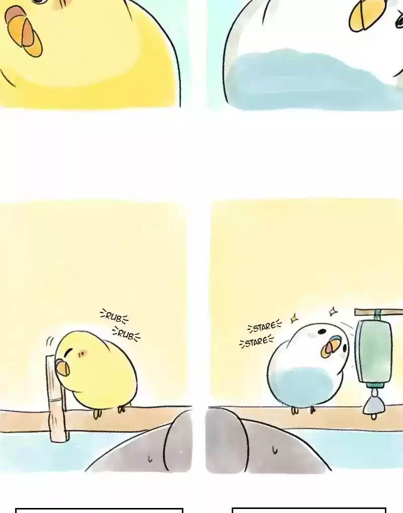 A Budgie's Life Chapter 53: Ep.53: