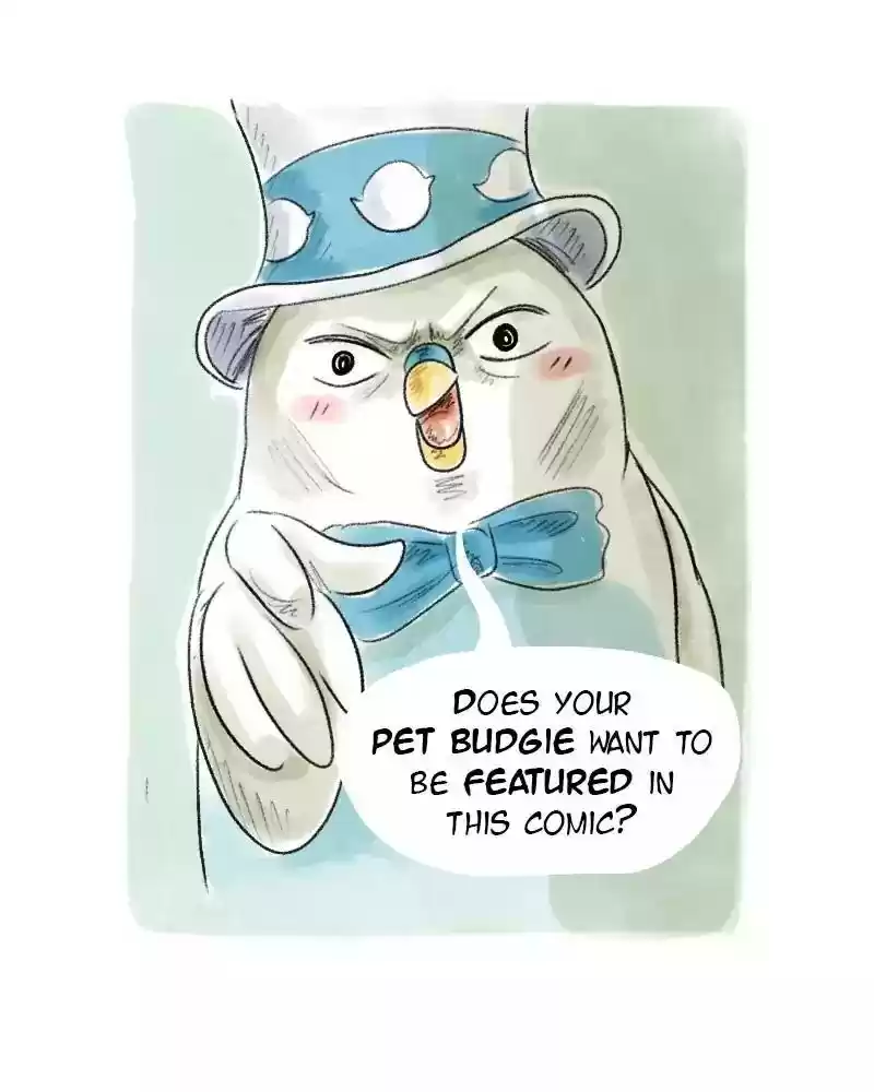 A Budgie's Life Chapter 53: Ep.53:
