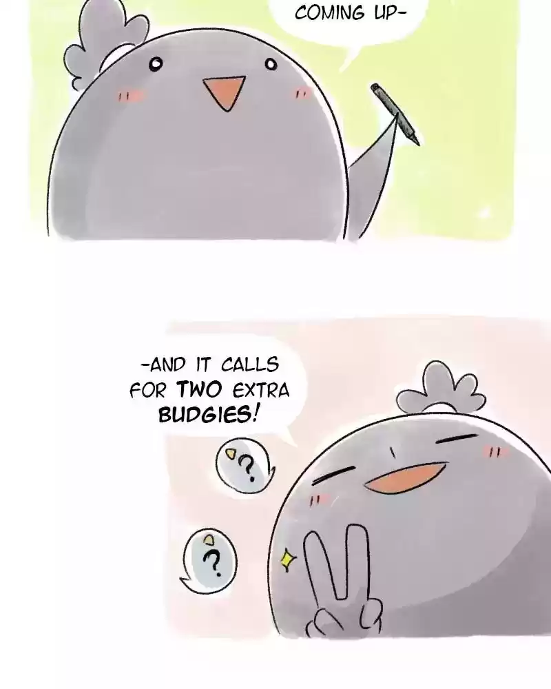 A Budgie's Life Chapter 53: Ep.53: