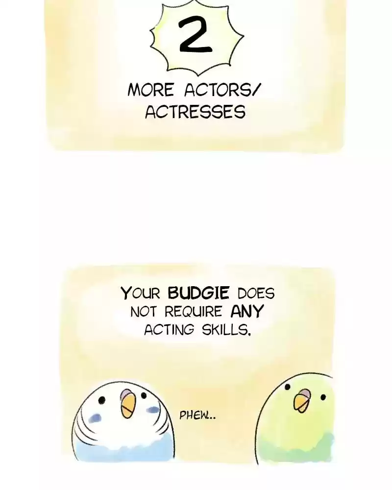 A Budgie's Life Chapter 53: Ep.53: