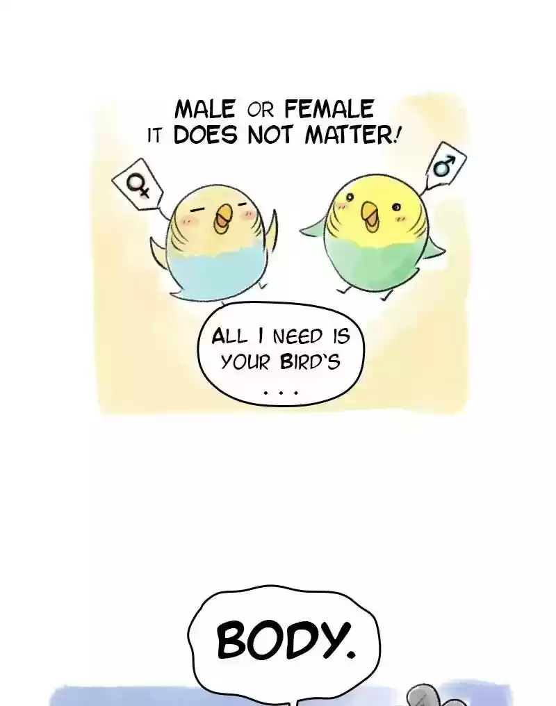 A Budgie's Life Chapter 53: Ep.53: