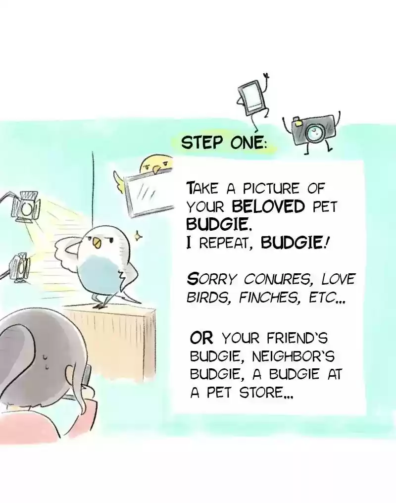 A Budgie's Life Chapter 53: Ep.53: