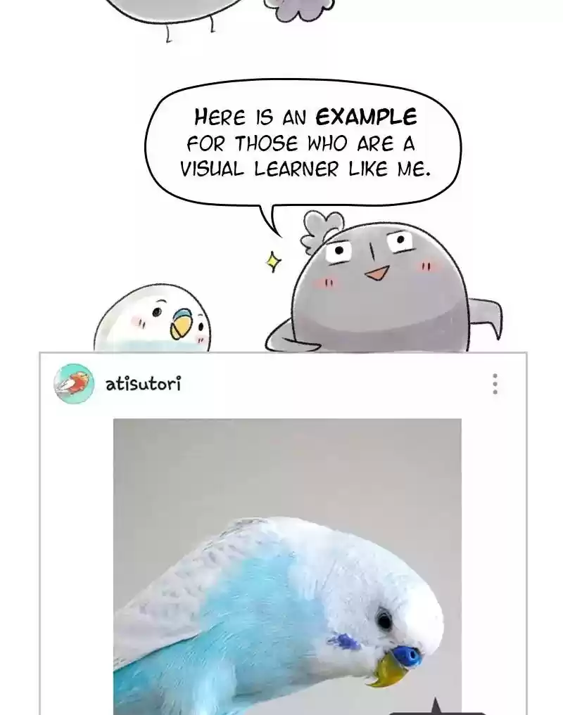 A Budgie's Life Chapter 53: Ep.53: